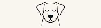 Spencer Vibes website logo on a cream white background with an illustration of a dog with his eyes closed