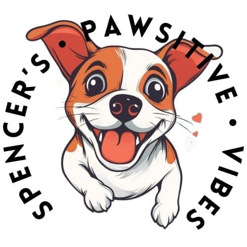 the spencer vibes logo featuring spencer the Jack Russell dog for pawsitive vibes and mindful gifts for dog owners