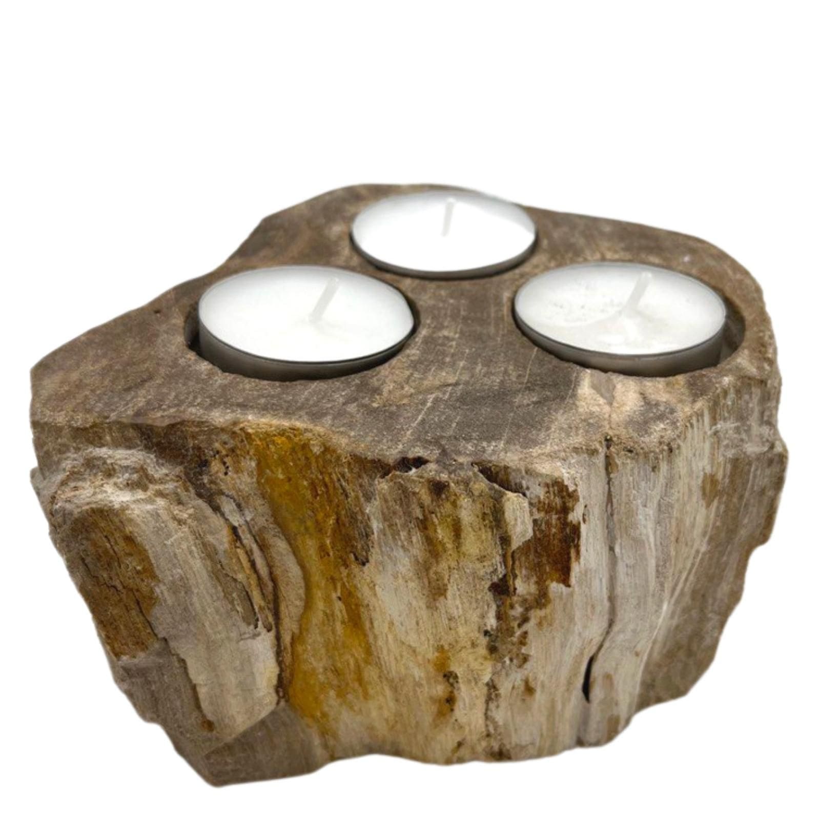 Petrified Wood Candle Holder – Triple